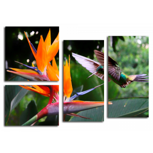 Модульная картина Экзотический цветок и птаха
