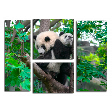 Модульная картина Мама-панда и малыш
